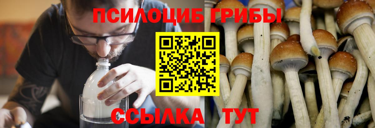 Конаково  Галлюциногенные грибы прущие грибы  Вход с VPN 